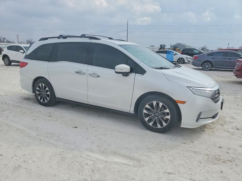 2024 Honda Odyssey exl