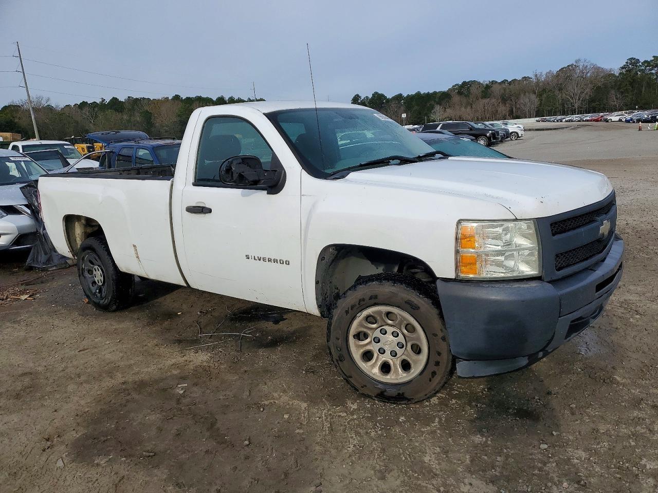 2010 Chevrolet Silverado C1500