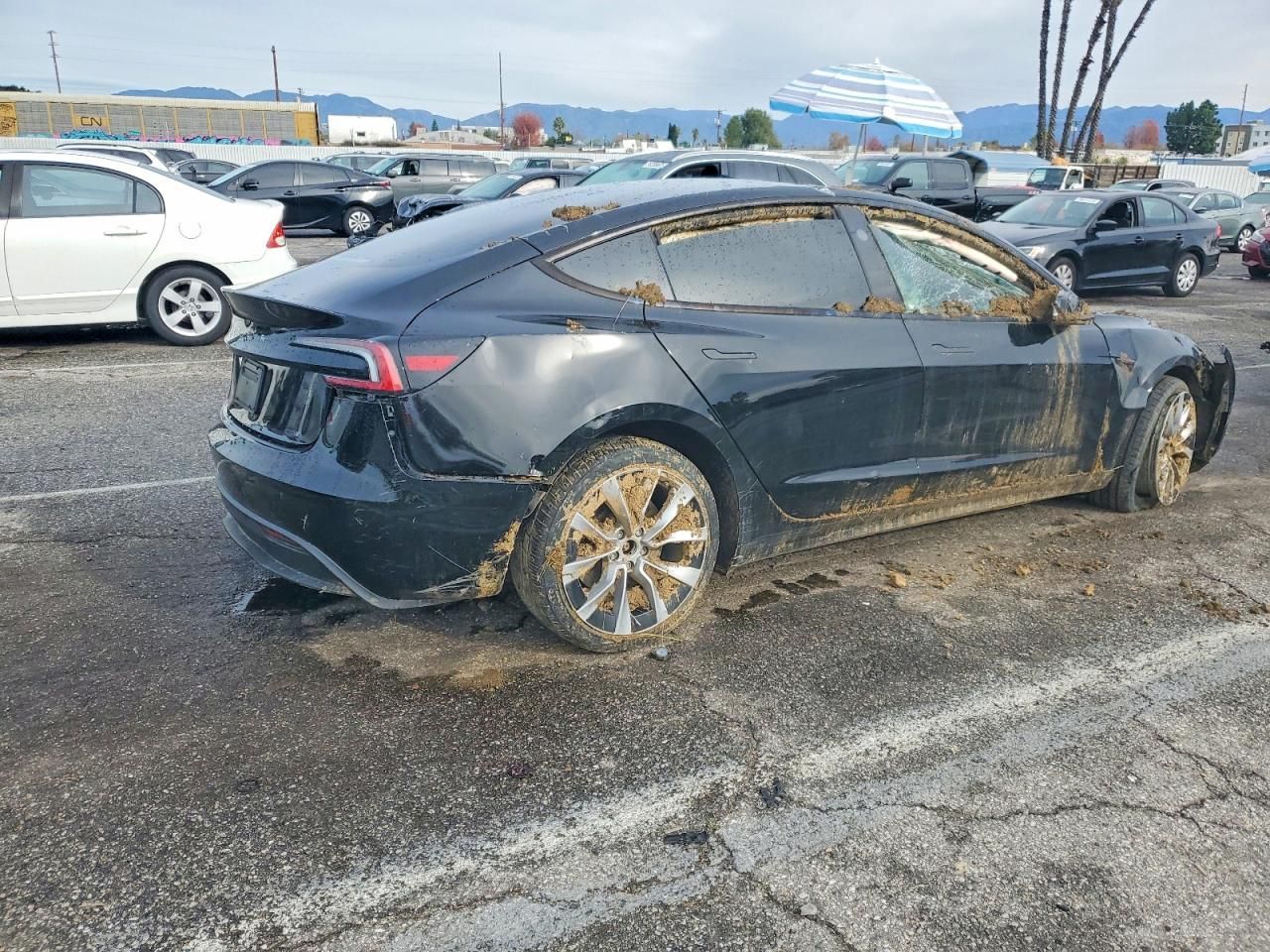 2025 Tesla Model 3