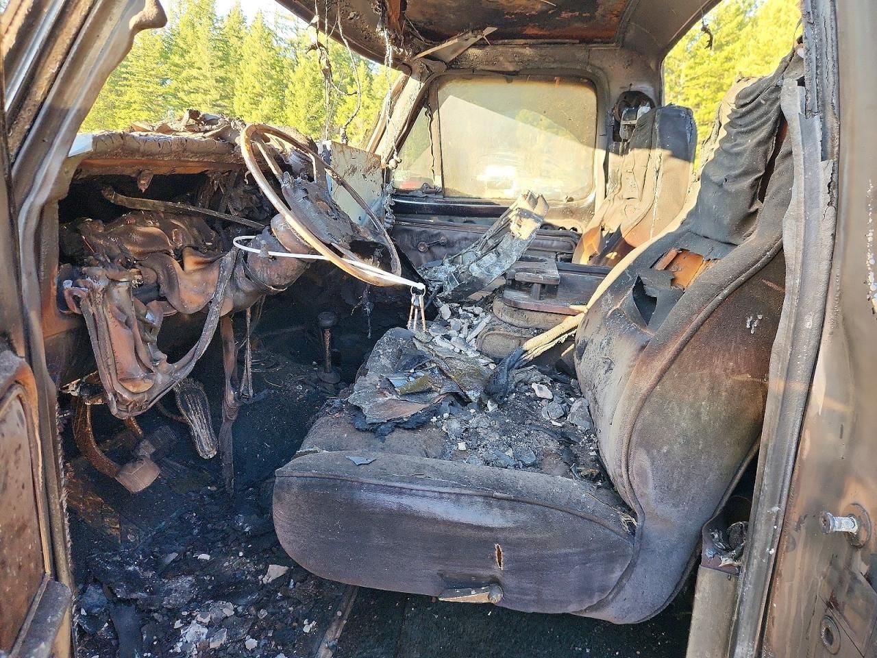 1979 Ford F100 Serie