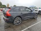2024 Volvo Xc60 Plus