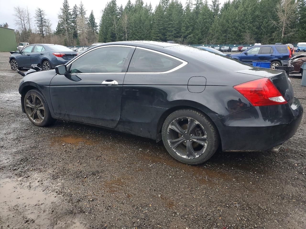 2011 Honda Accord exl