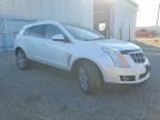2012 Cadillac Srx Performance Collection