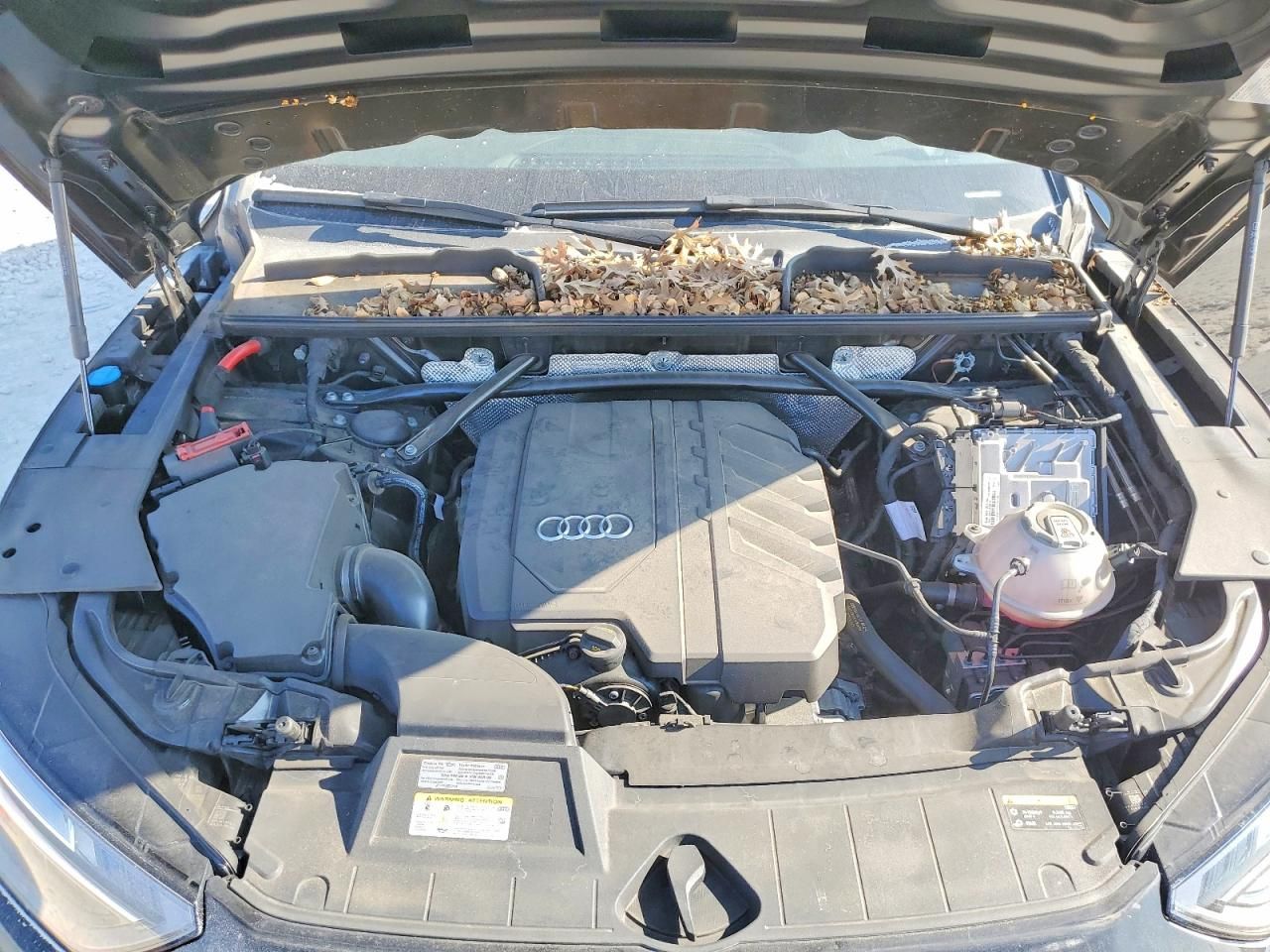 2023 Audi Q5 Premium 45