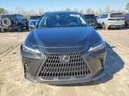 2025 Lexus NX