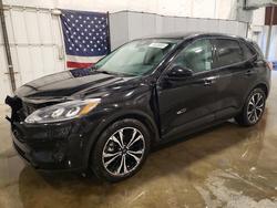 2022 Ford Escape se for sale in Avon, MN