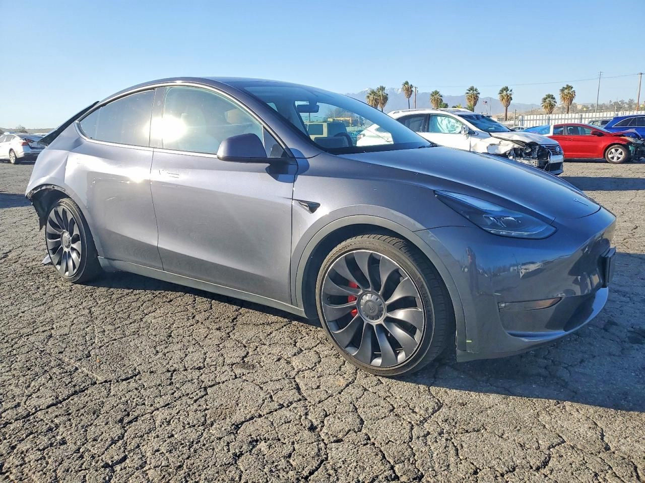 2023 Tesla Model y