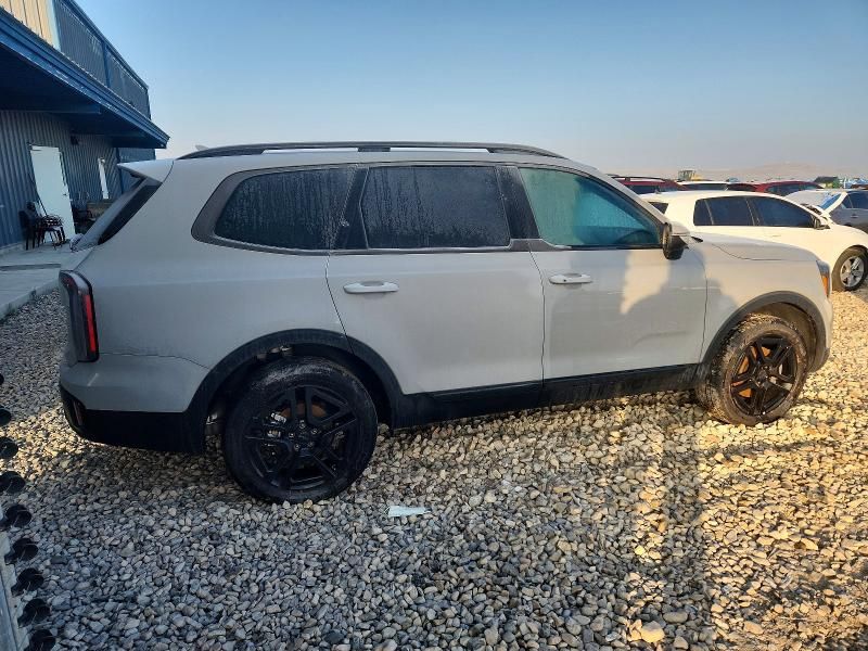 2025 KIA Telluride ex
