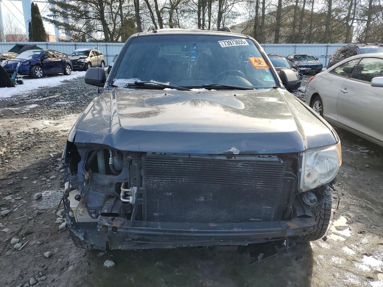 2009 Ford Escape xlt