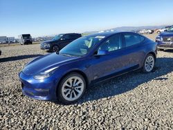 2023 Tesla Model 3 for sale in American Canyon, CA