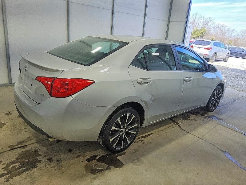 2019 Toyota Corolla l