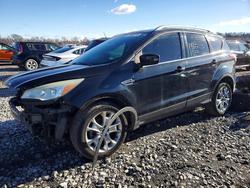 Ford salvage cars for sale: 2014 Ford Escape Titanium