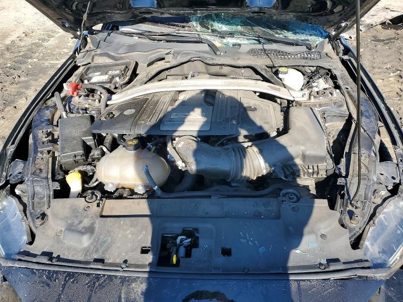 2019 Ford Mustang gt