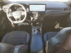 2023 Ford Escape st Line