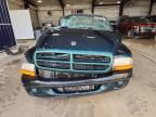 1999 Dodge Dakota