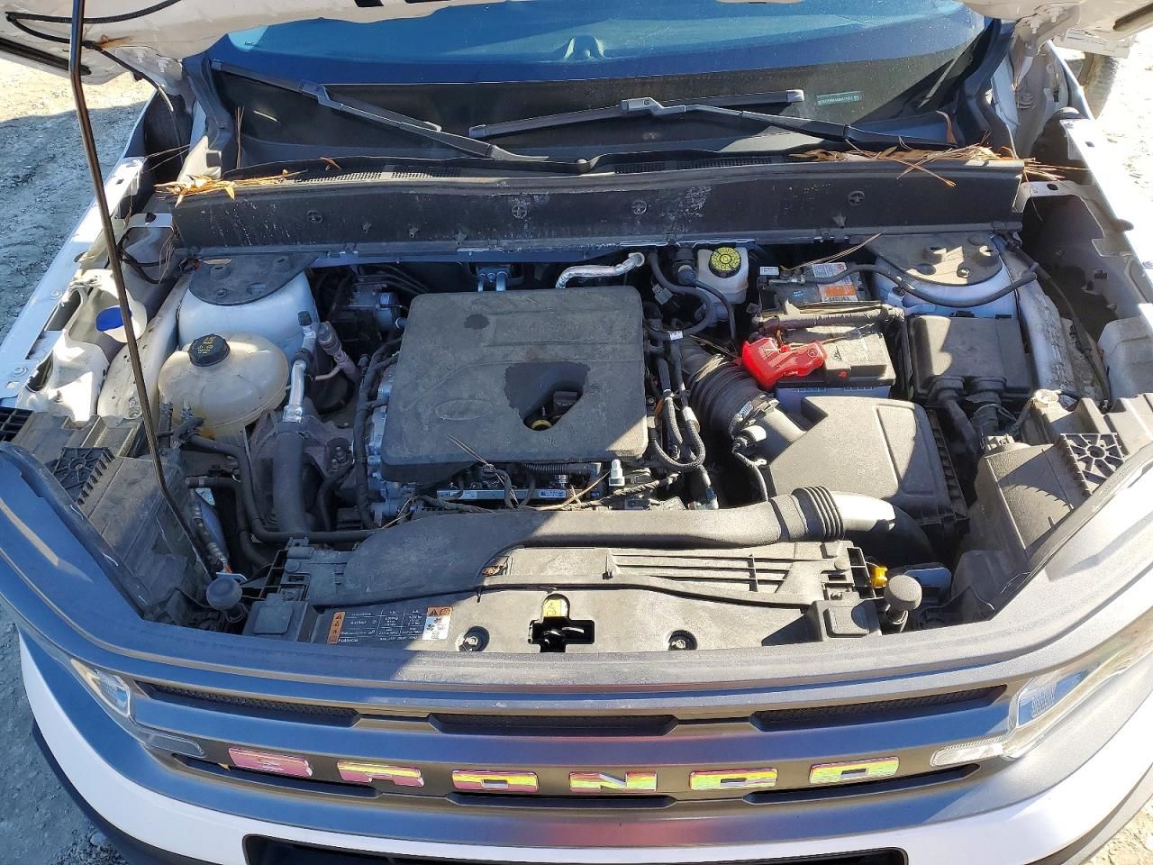 2021 Ford Bronco Sport big Bend