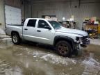 2011 Dodge Dakota slt
