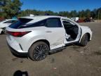 2024 Lexus Rx 350 Base