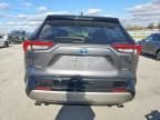 2024 Toyota Rav4 xse