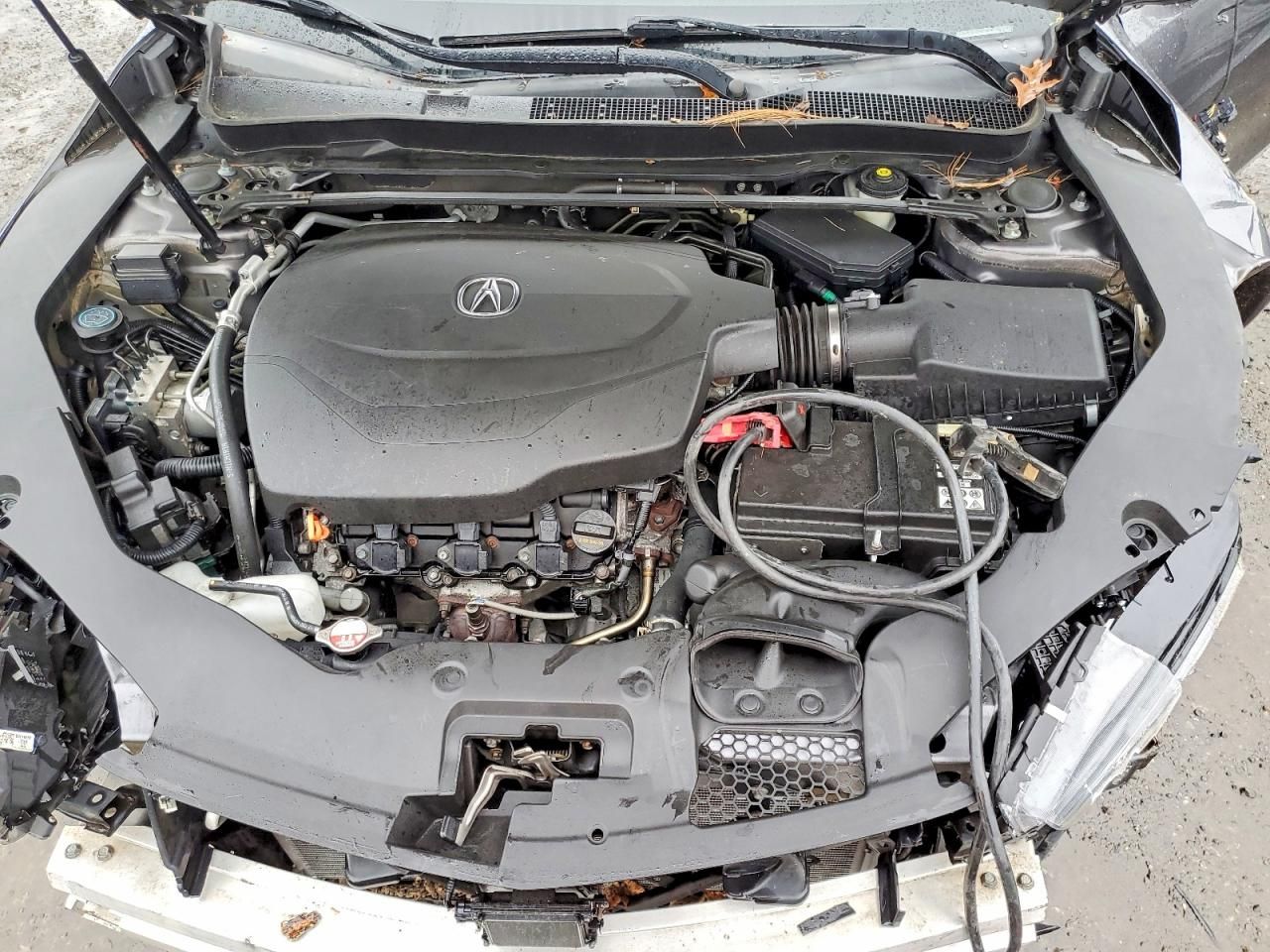 2019 Acura Tlx Technology