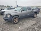 2011 Dodge Dakota slt