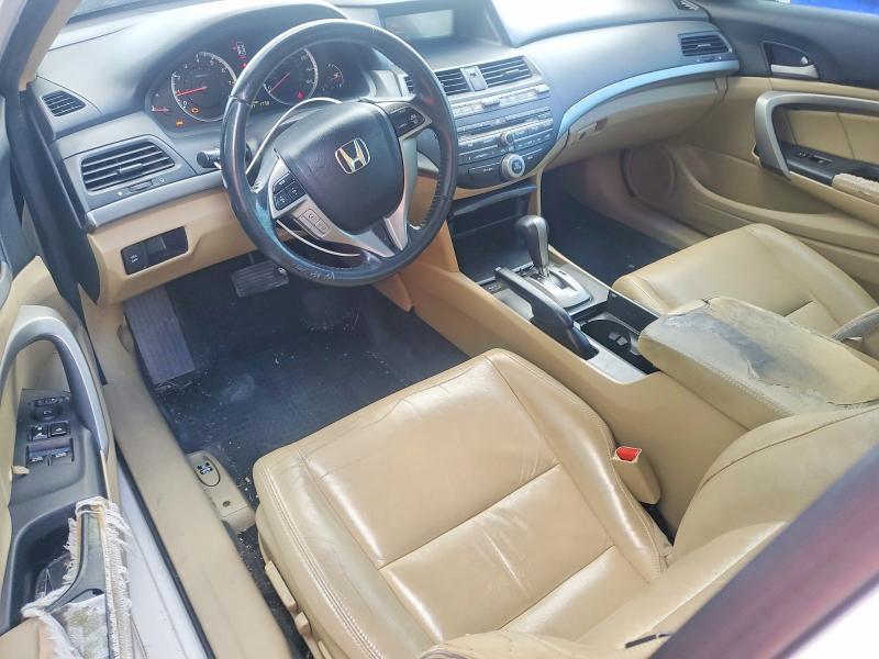 2010 Honda Accord exl