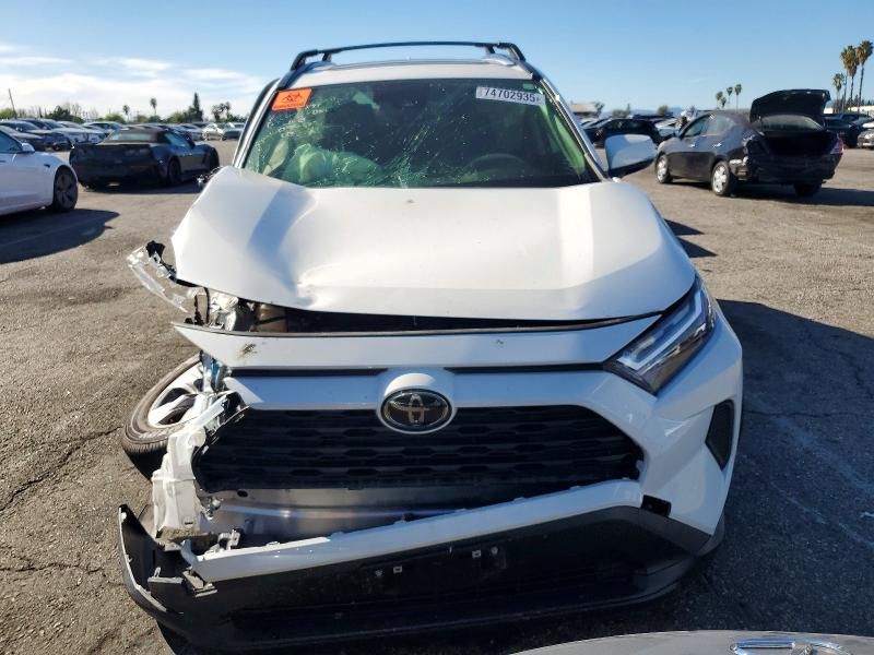 2025 Toyota Rav4 xle