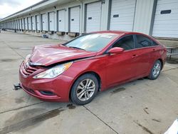 Hyundai Sonata salvage cars for sale: 2013 Hyundai Sonata gls