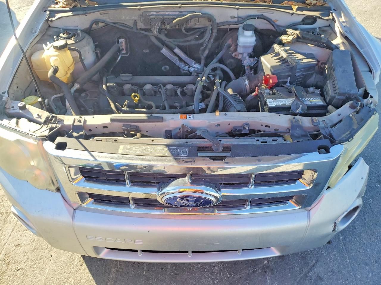 2010 Ford Escape xlt