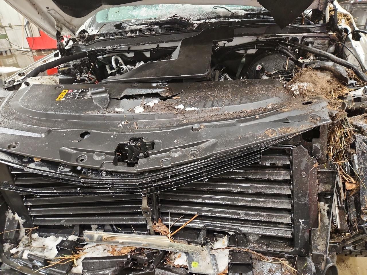 2020 Cadillac Escalade Premium Luxury