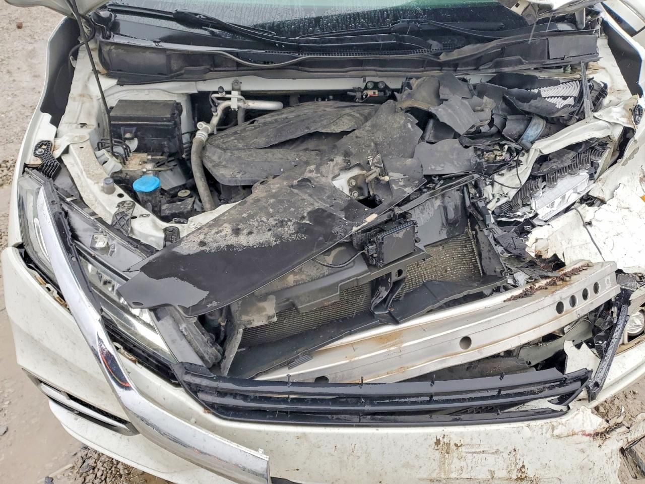 2020 Honda Odyssey Elite