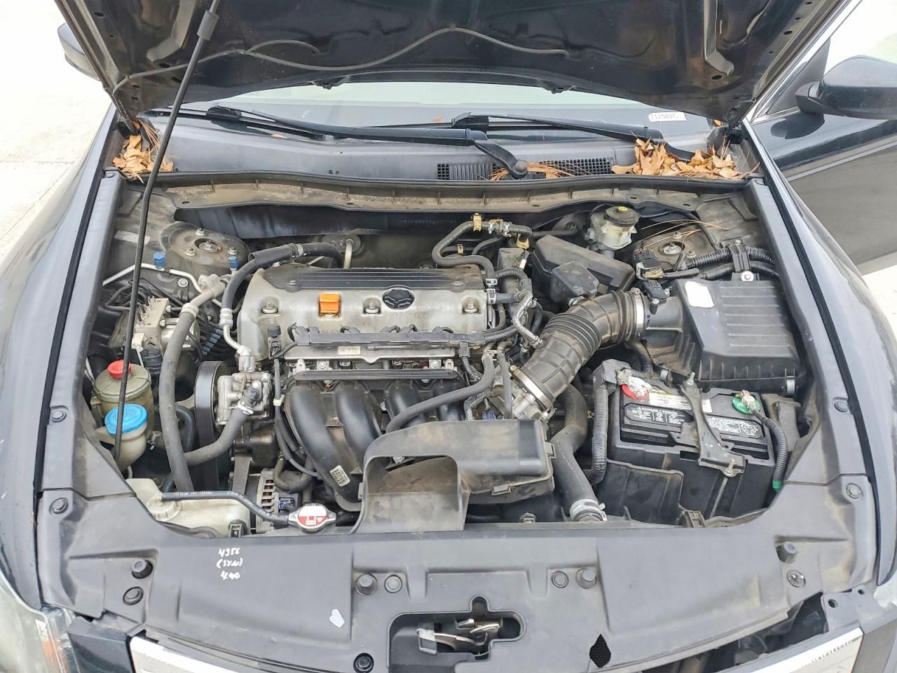 2009 Honda Accord lxp