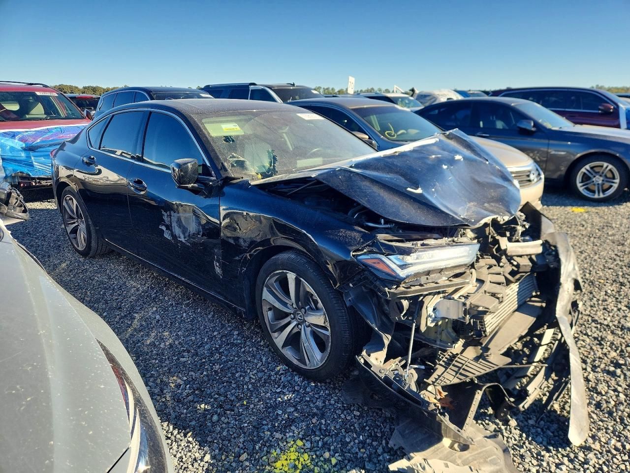 2021 Acura Tlx Advance