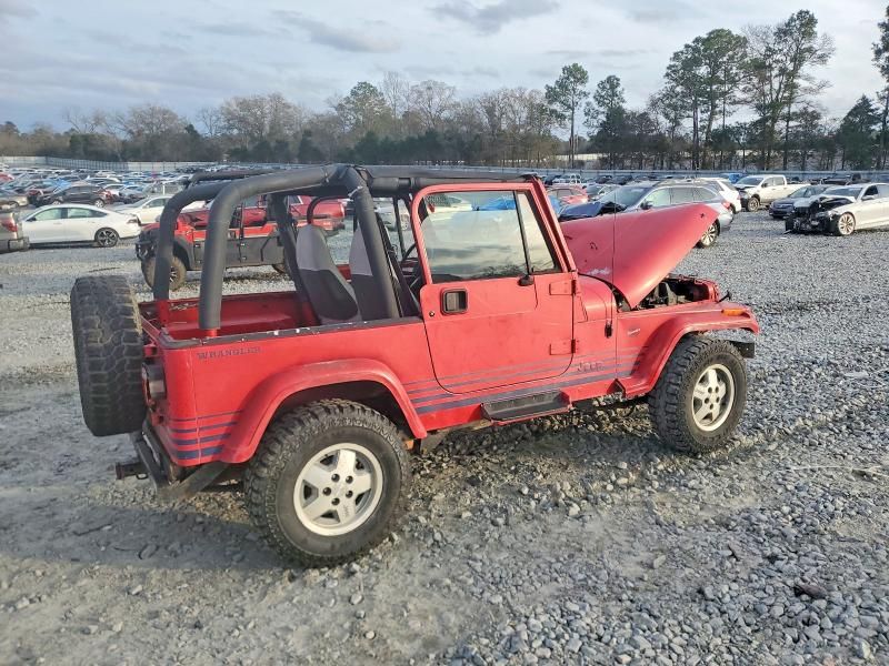 1992 Jeep Wrangler / yj Islander