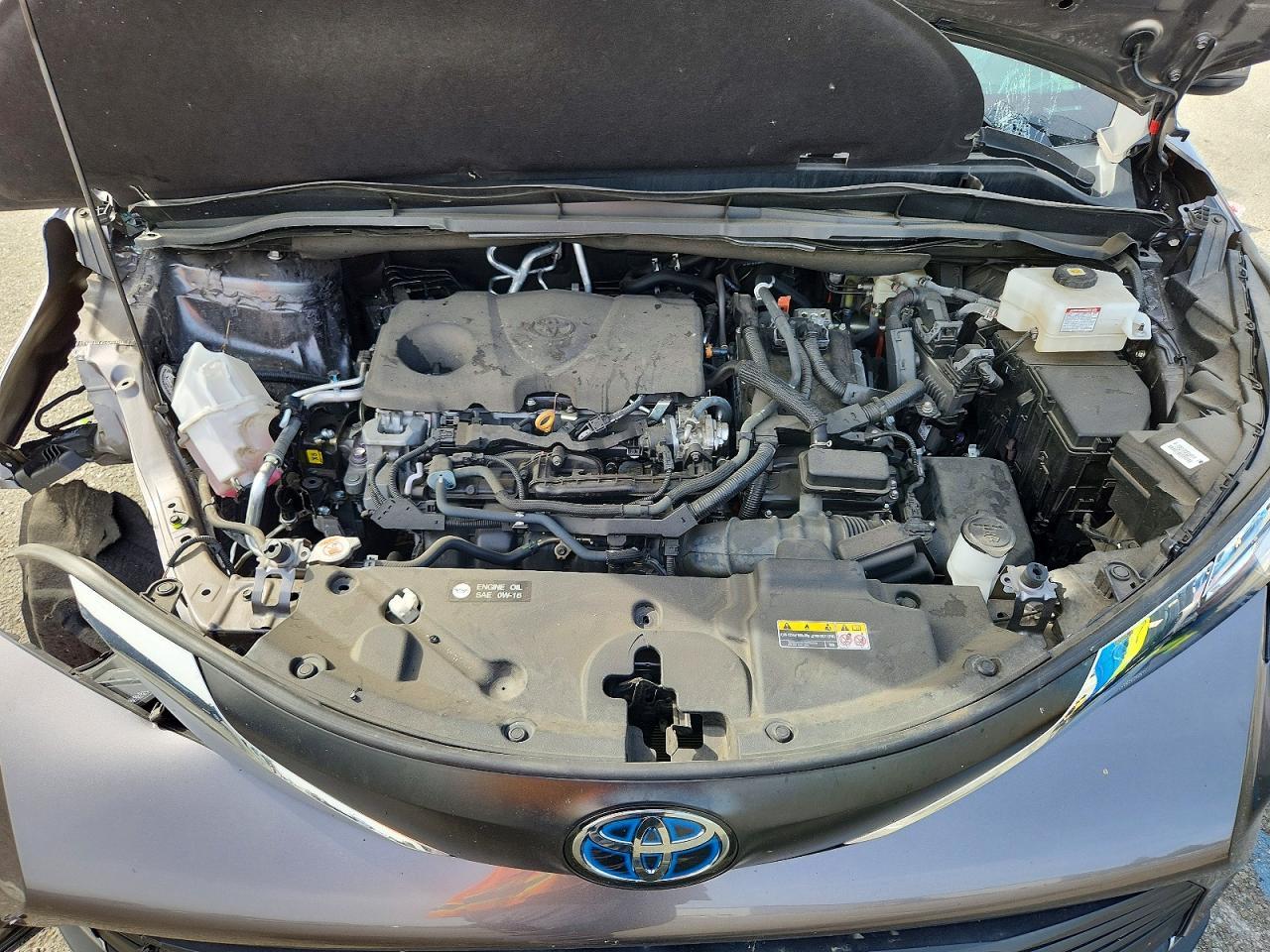 2023 Toyota Sienna xle 7-passenger