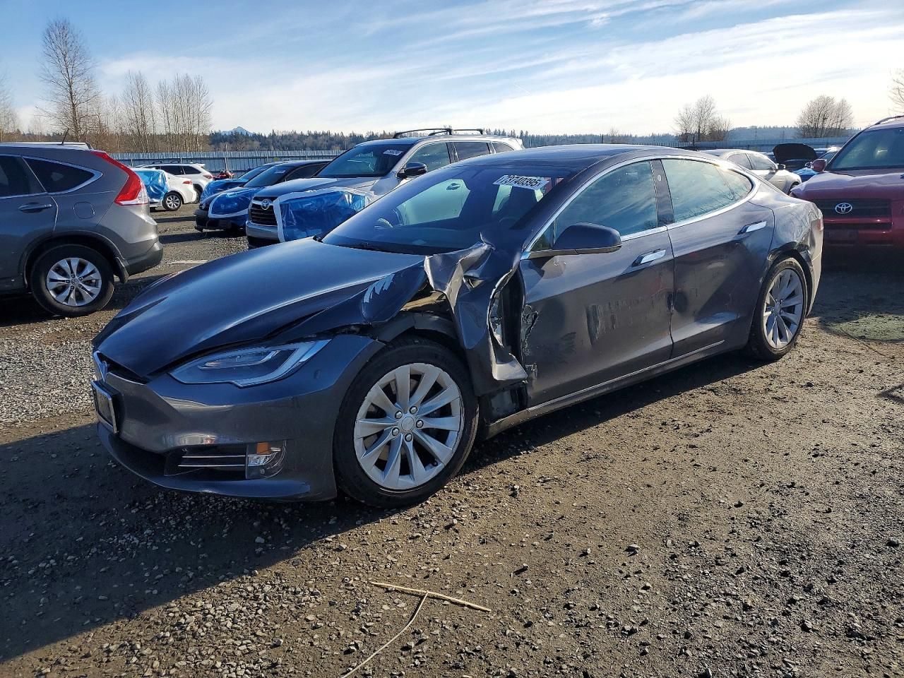 2019 Tesla Model s