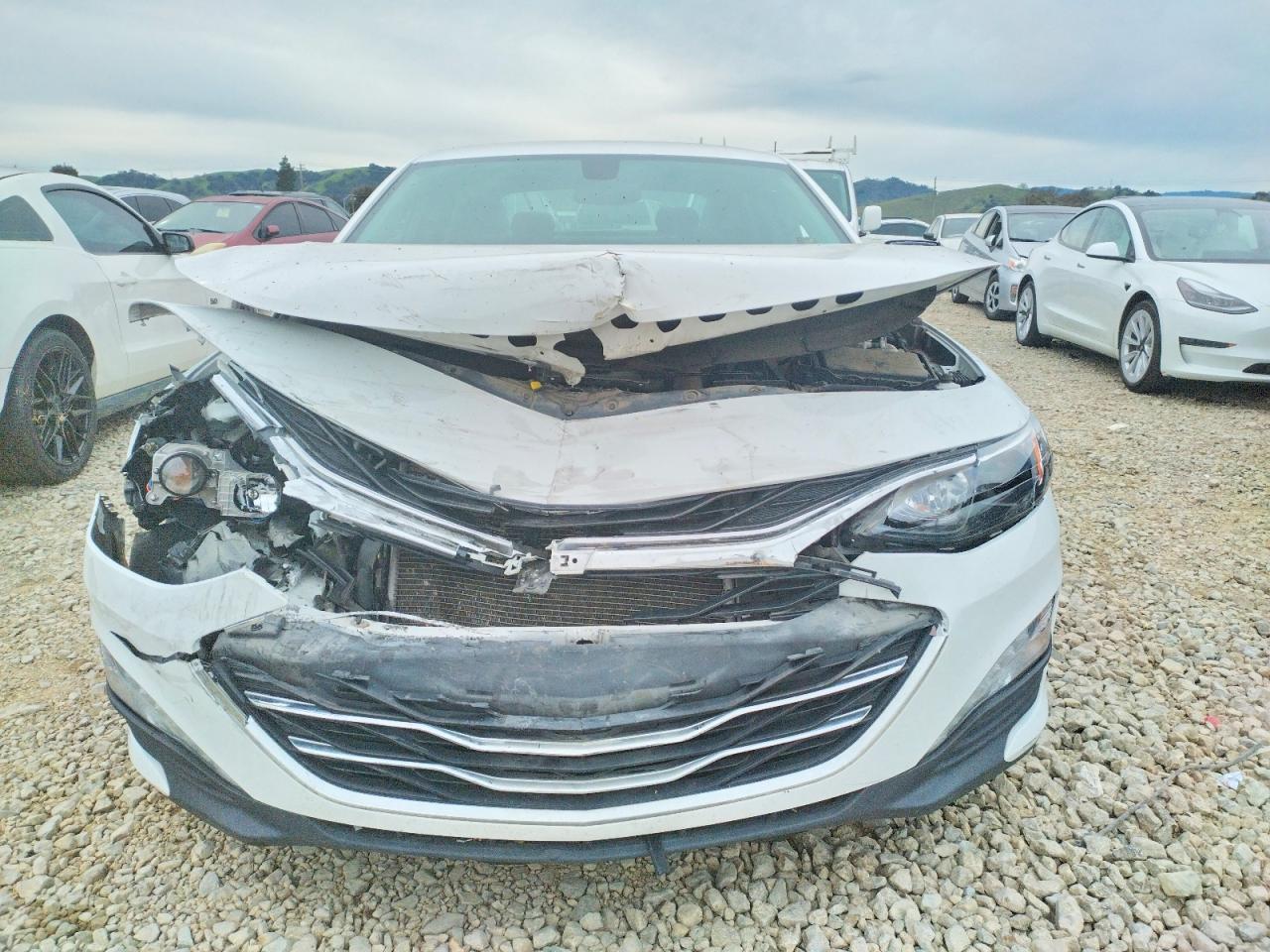 2019 Chevrolet Malibu lt