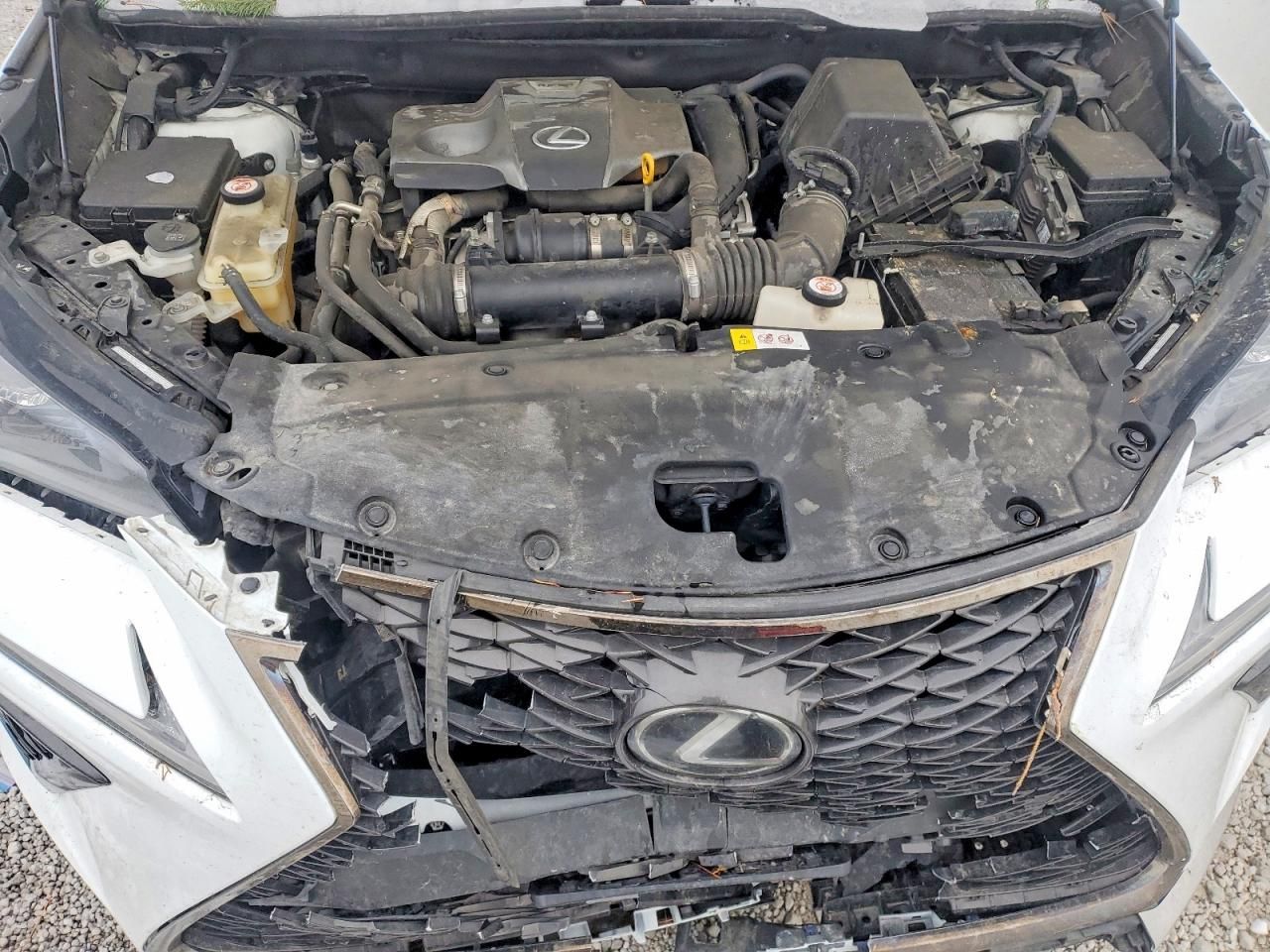 2019 Lexus Nx 300 Base