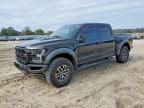 2018 Ford F150 Raptor