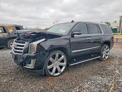 Cadillac salvage cars for sale: 2016 Cadillac Escalade Premium