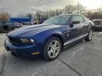 2010 Ford Mustang