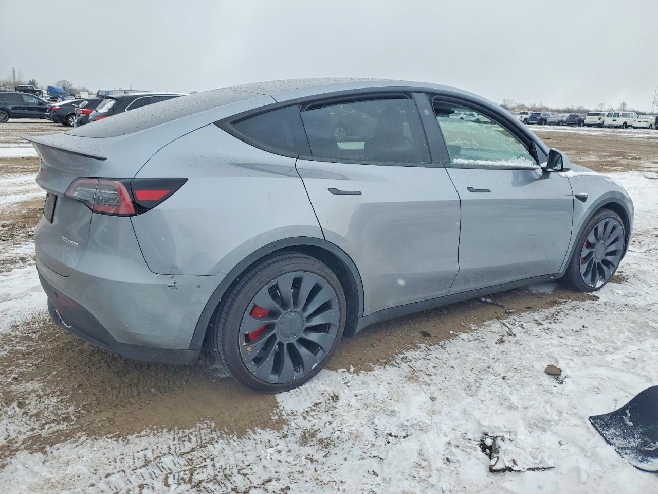 2024 Tesla Model y