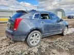 2010 Cadillac Srx Performance Collection
