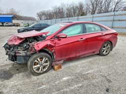 Hyundai Sonata salvage cars for sale: 2013 Hyundai Sonata Limited
