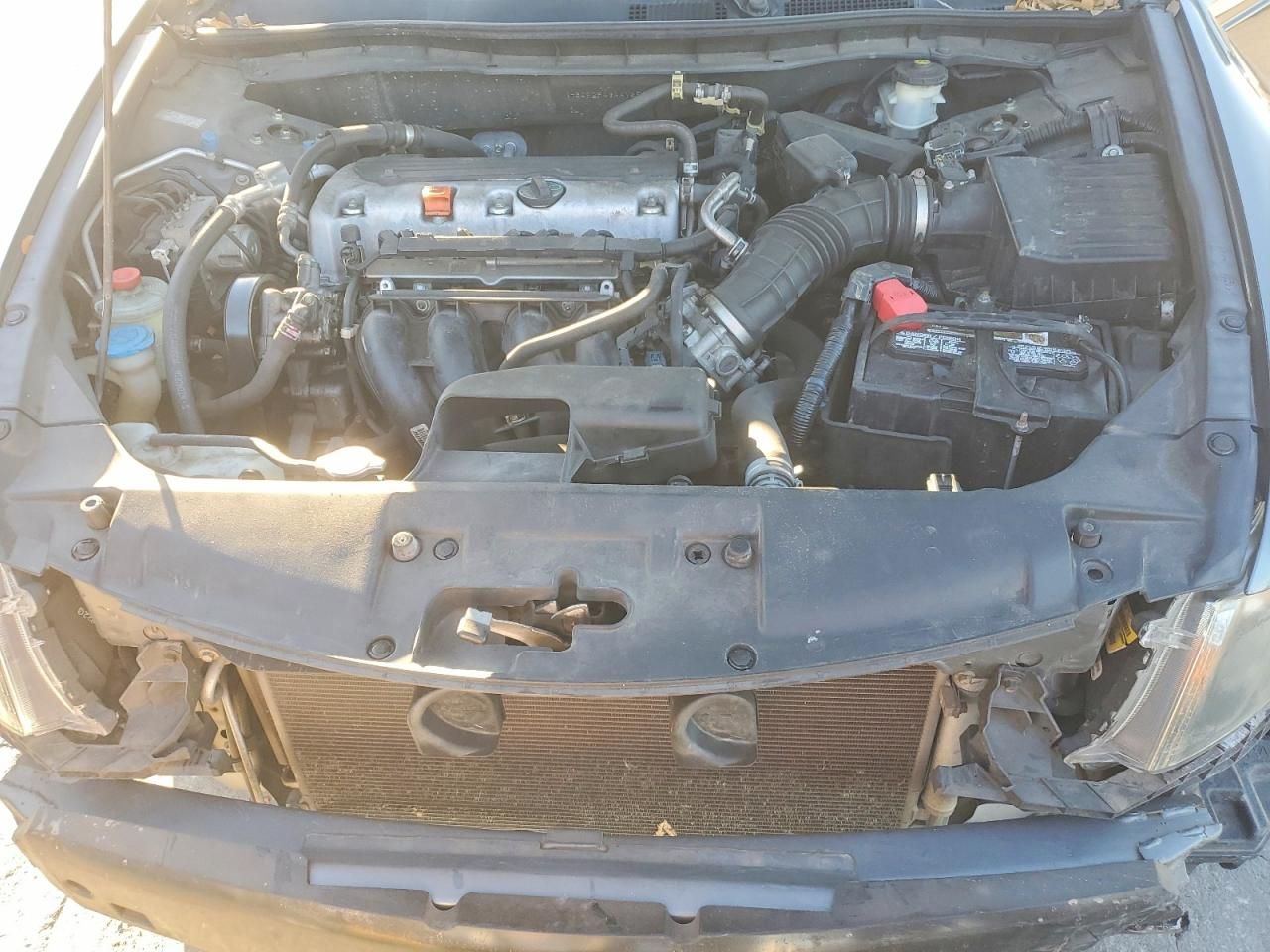 2010 Honda Accord lxp