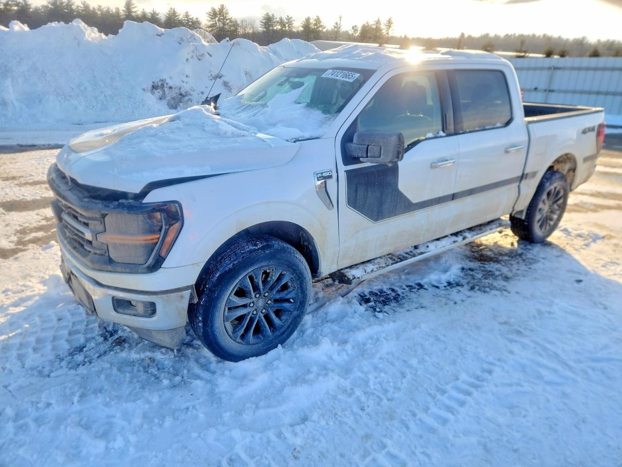 2024 Ford F150 xlt