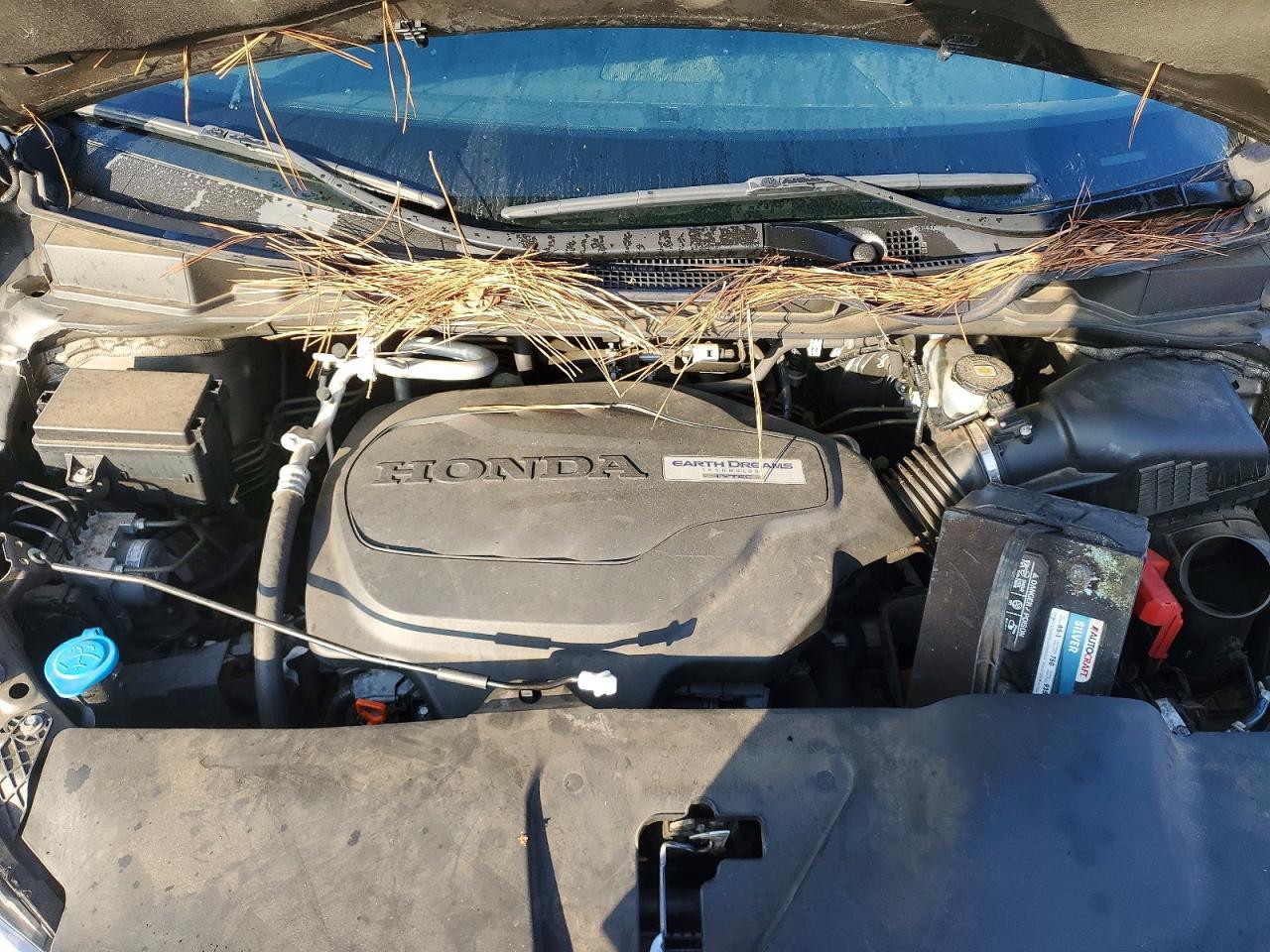 2019 Honda Odyssey exl