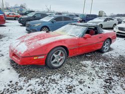 1986 Chevrolet Corvette for sale in Cicero, IN