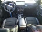 2024 Ford Escape st Line