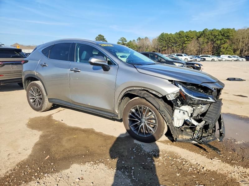2024 Lexus Nx 250 Premium